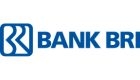 bank bri home