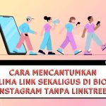 cara mencantumkan link bio instagram tanpa linktree